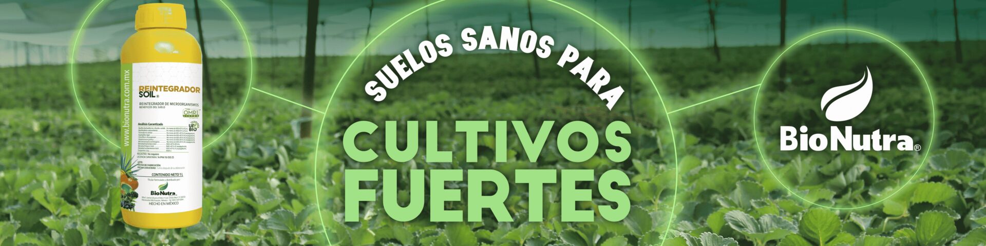 06AGOSTO_banners_Mesa de trabajo 1 copia 2